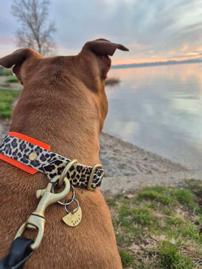 Médaille éclipse 🌗